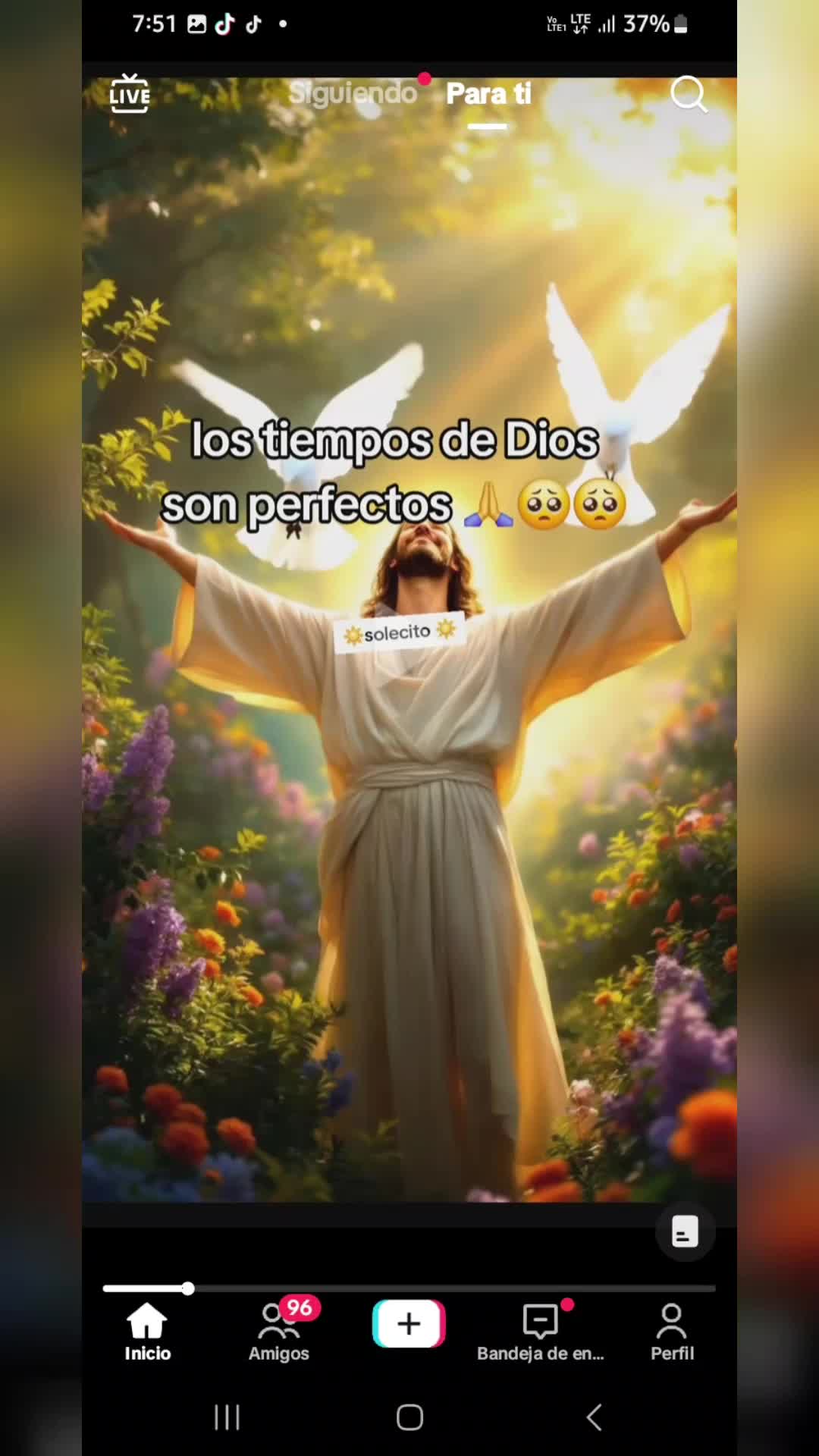 @elindomable02