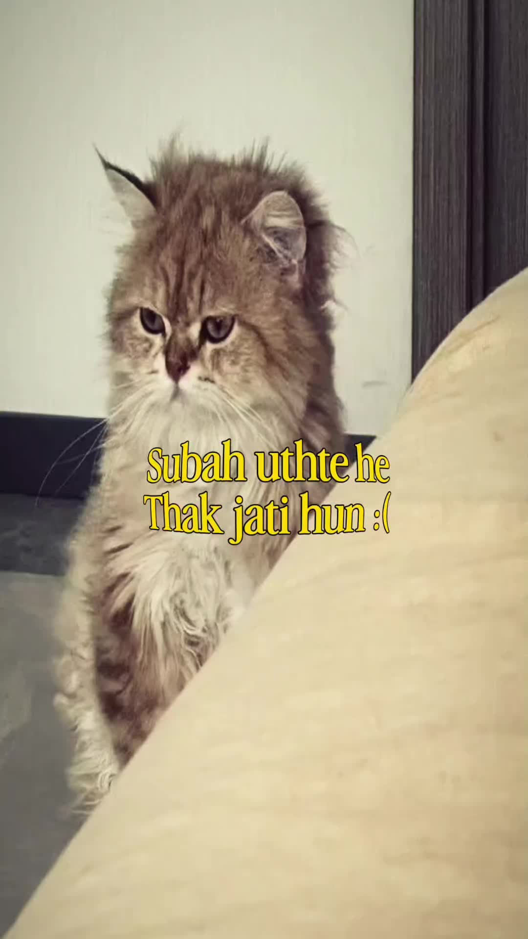 @بیڈی ھوں یار 🥀