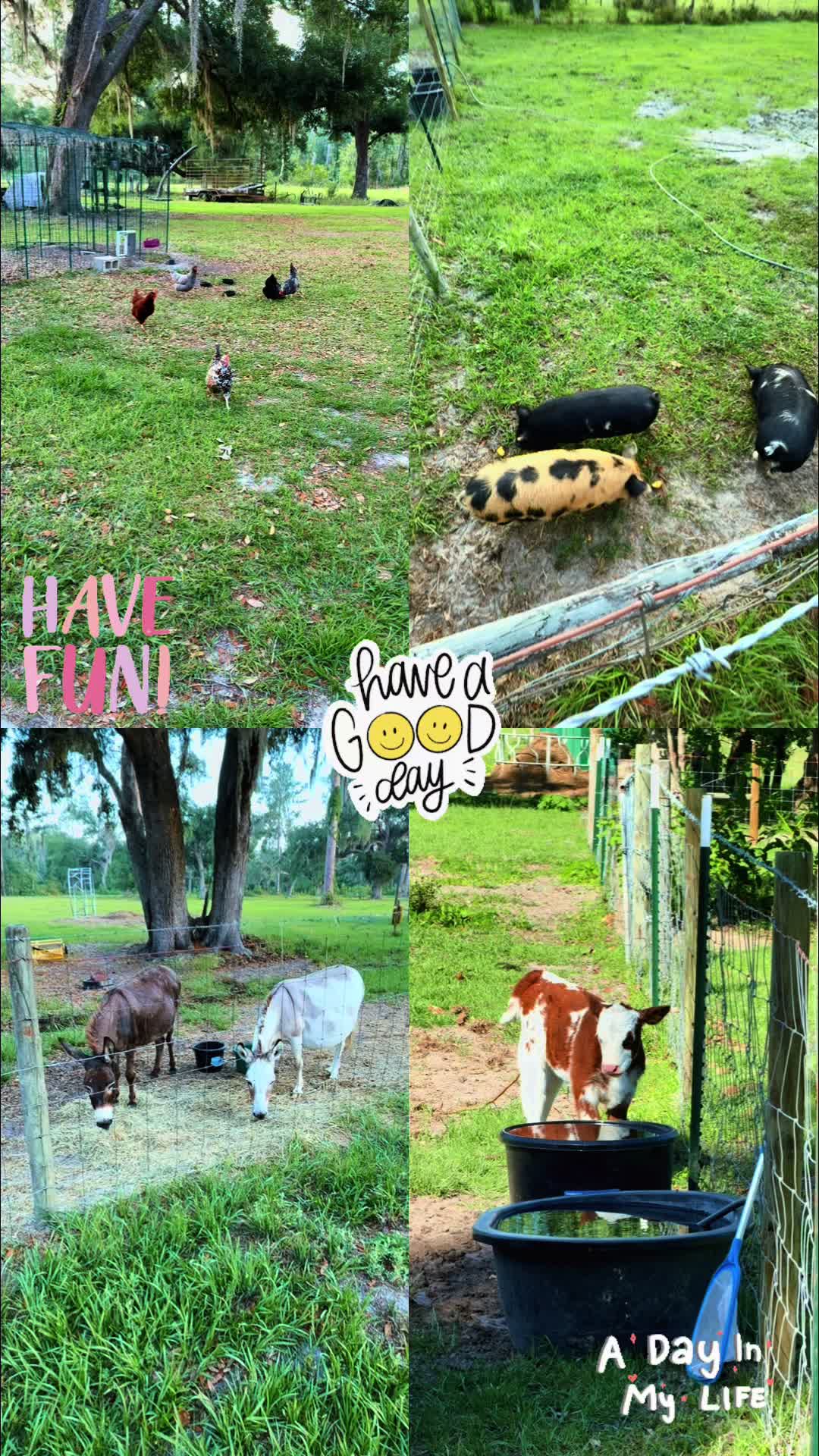 @Kelley Farms
