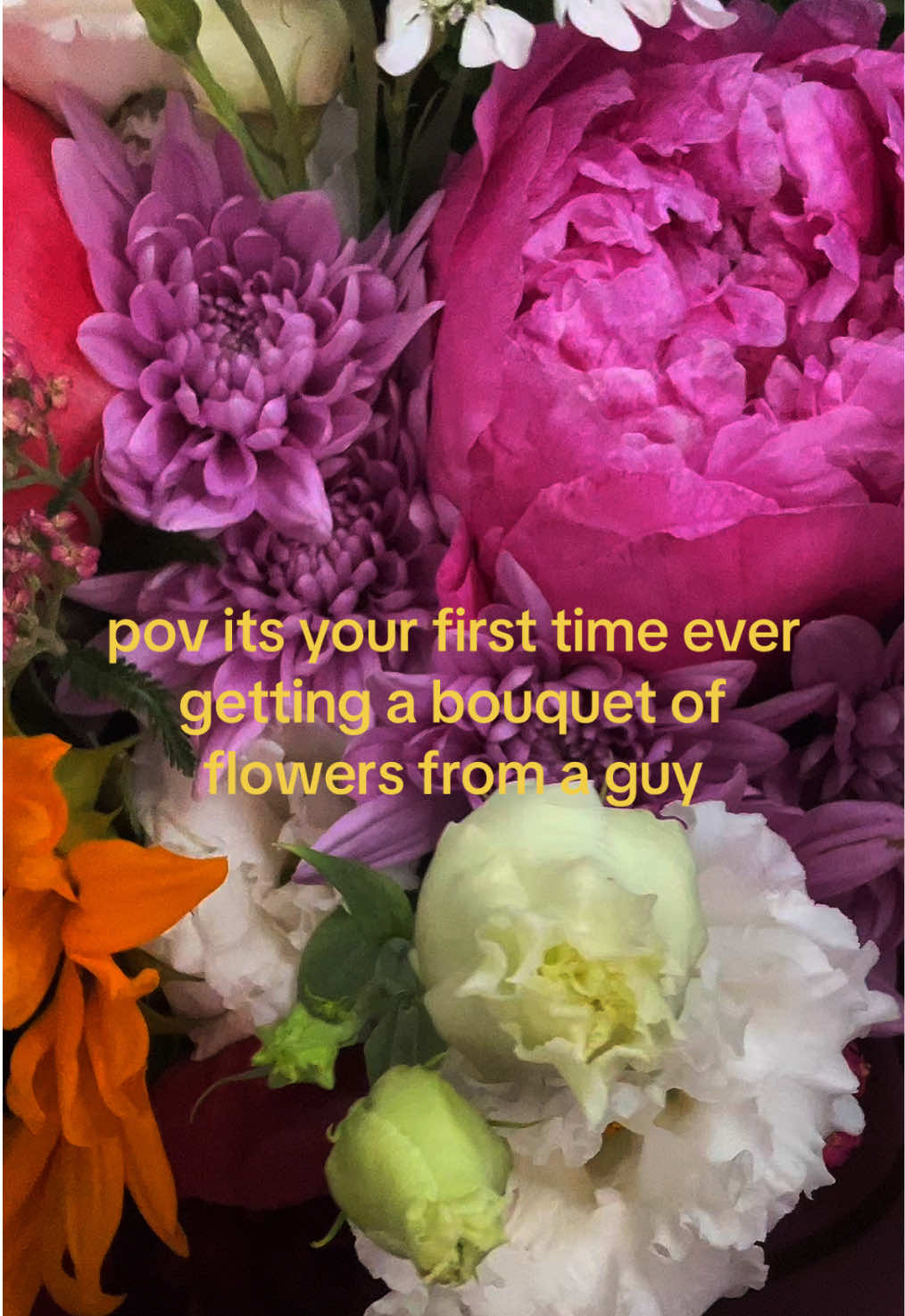 @ellie