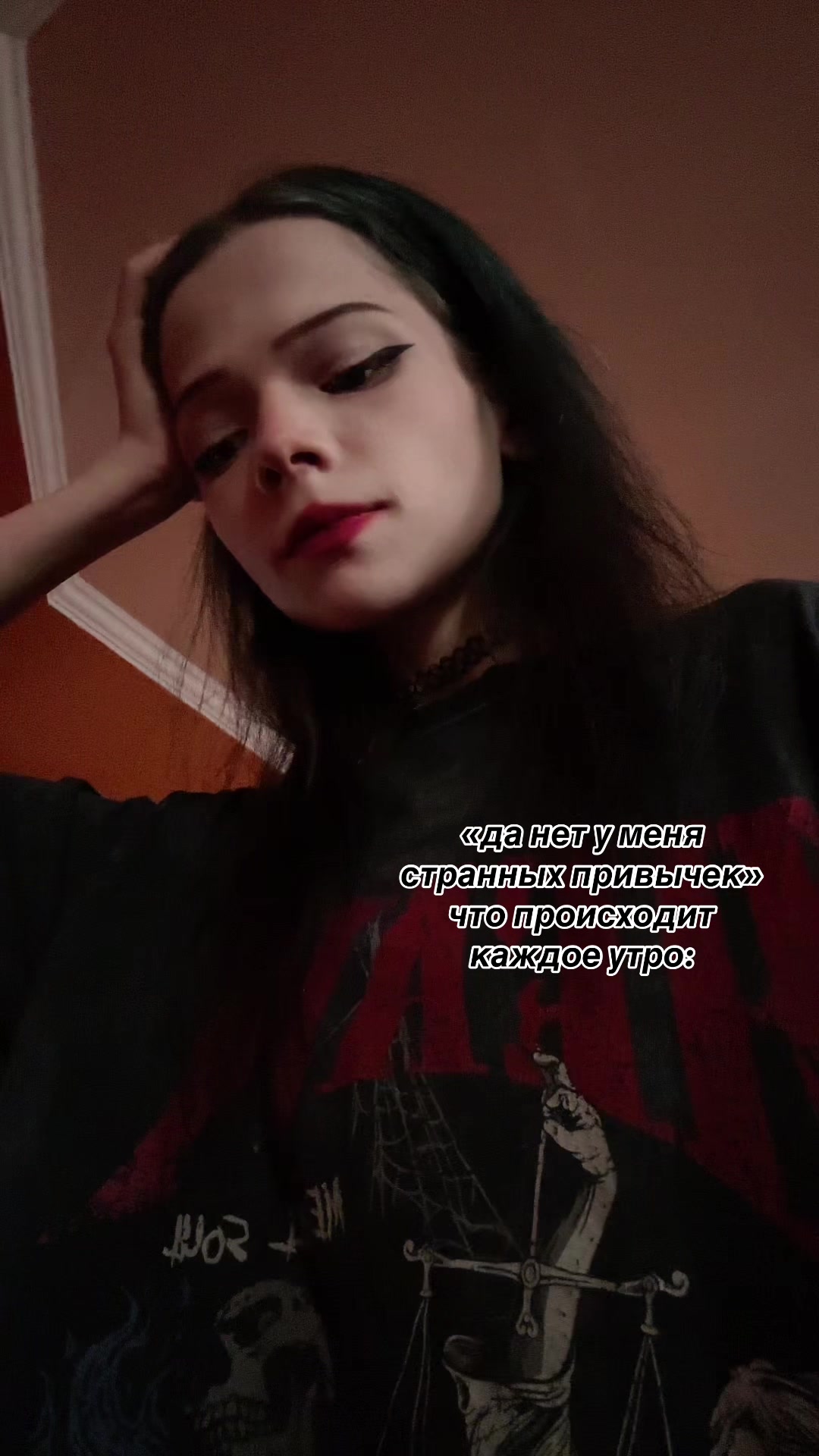 @чихуахуа