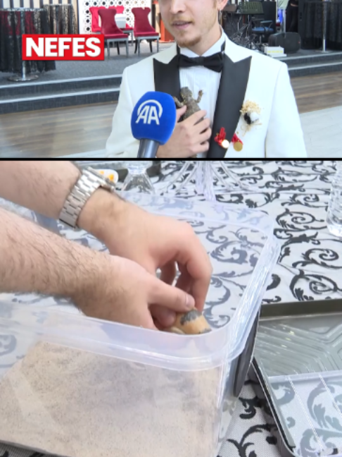 @Nefes Gazetesi