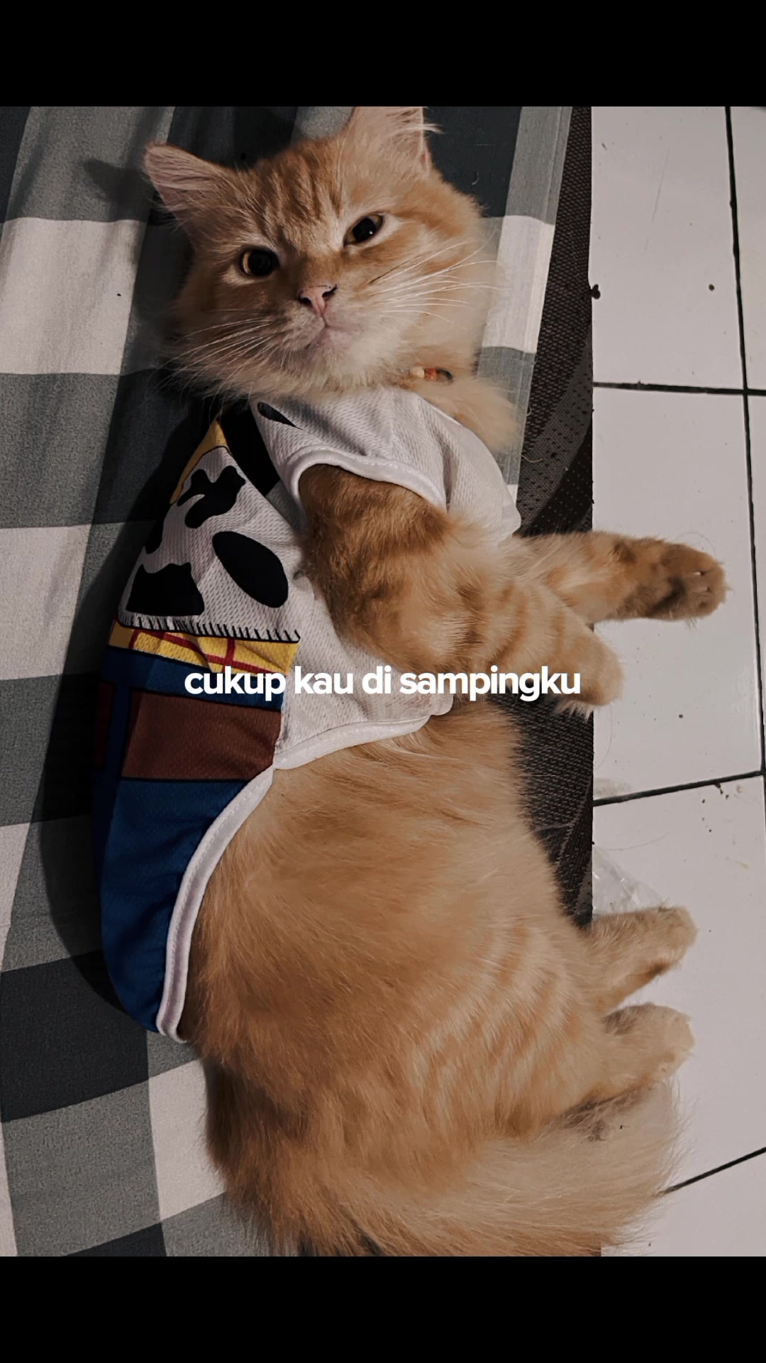 @😺 0chil 😺