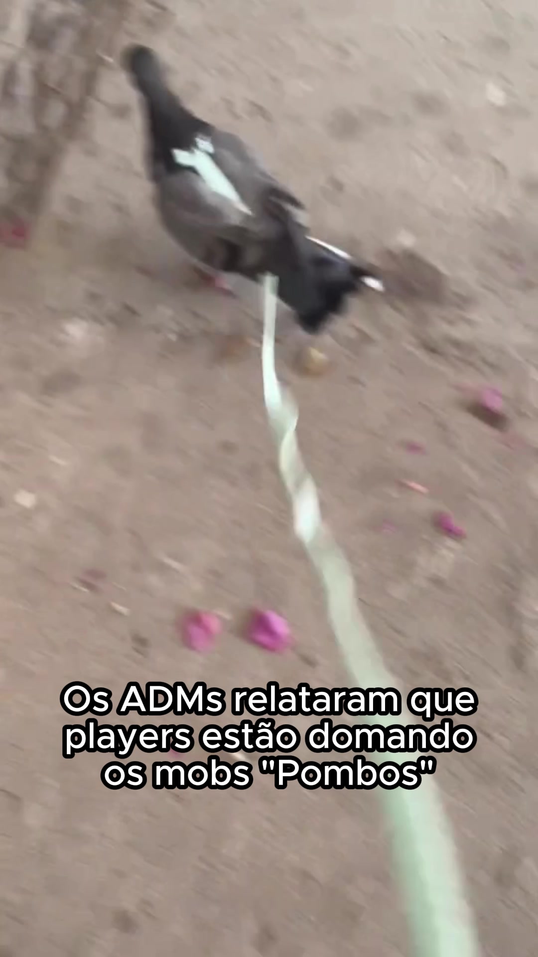 @Terra Updates Oficial