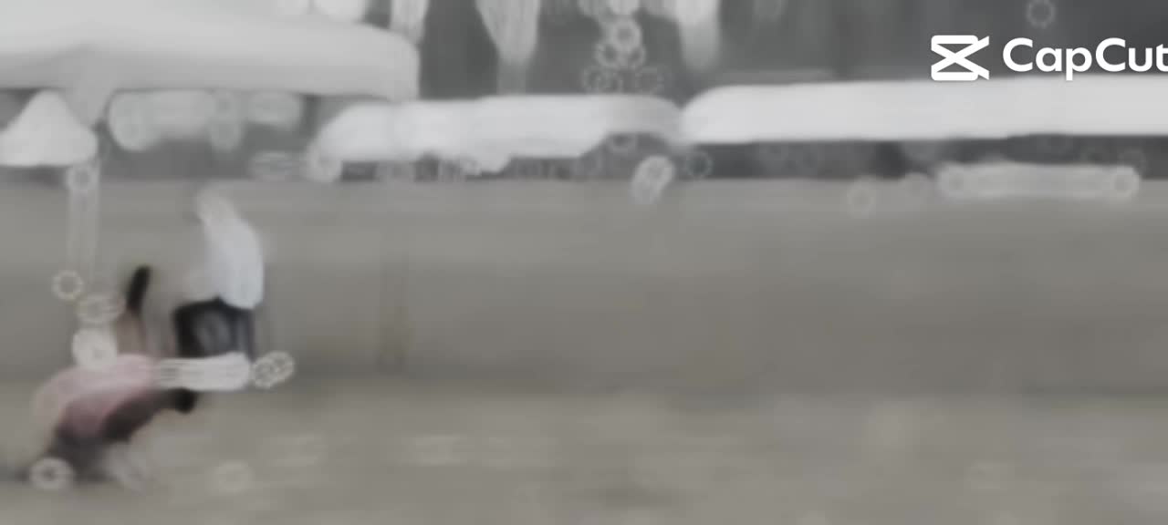 @飛龍