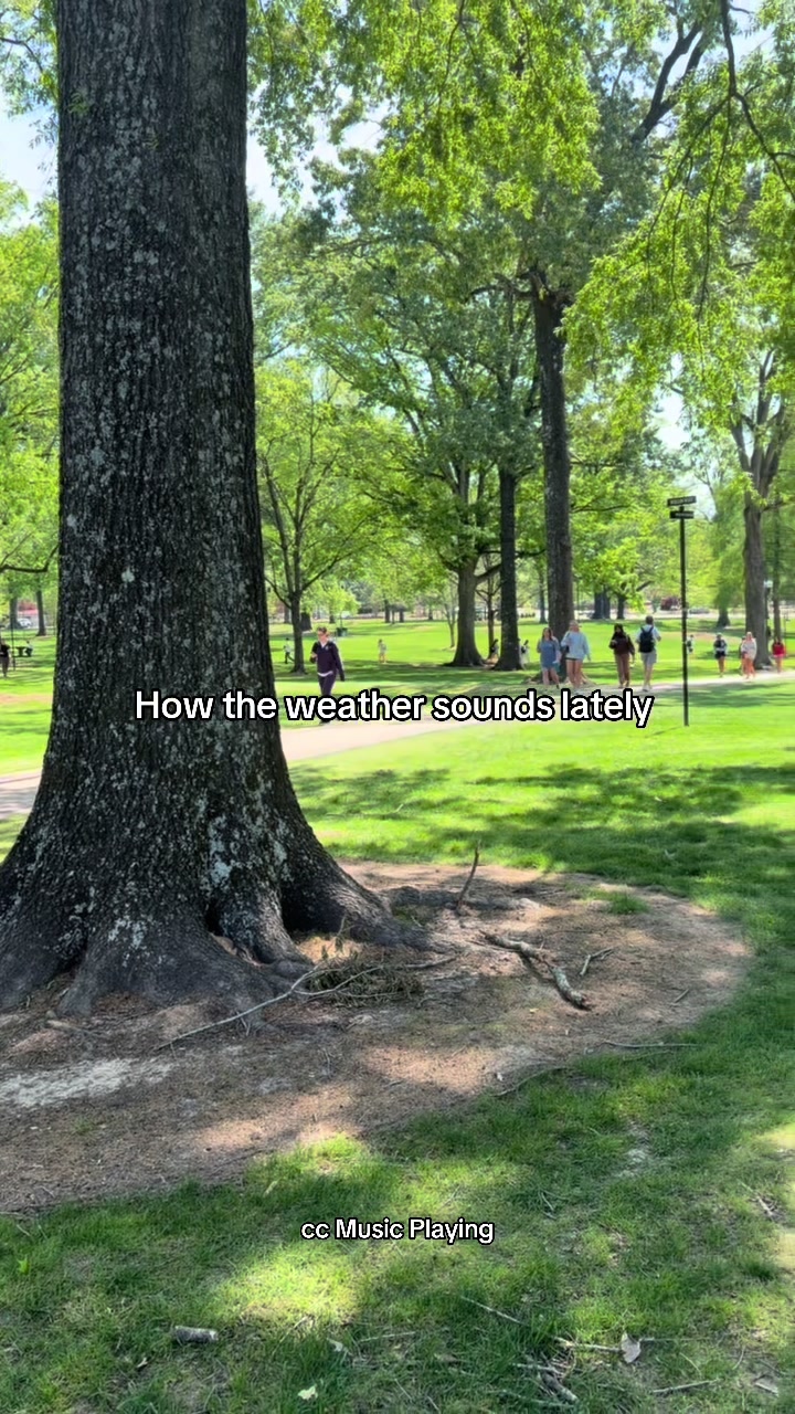 @Ole Miss