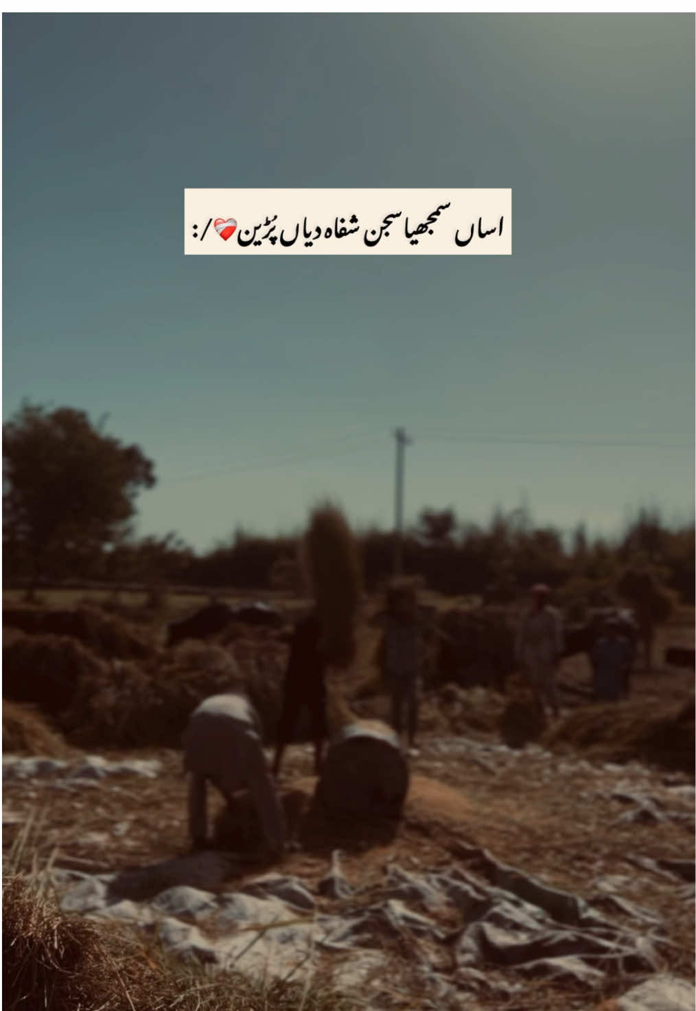 @پنجاب❤️🩹