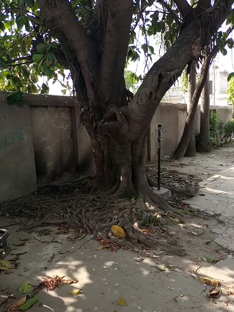@Altaf rana