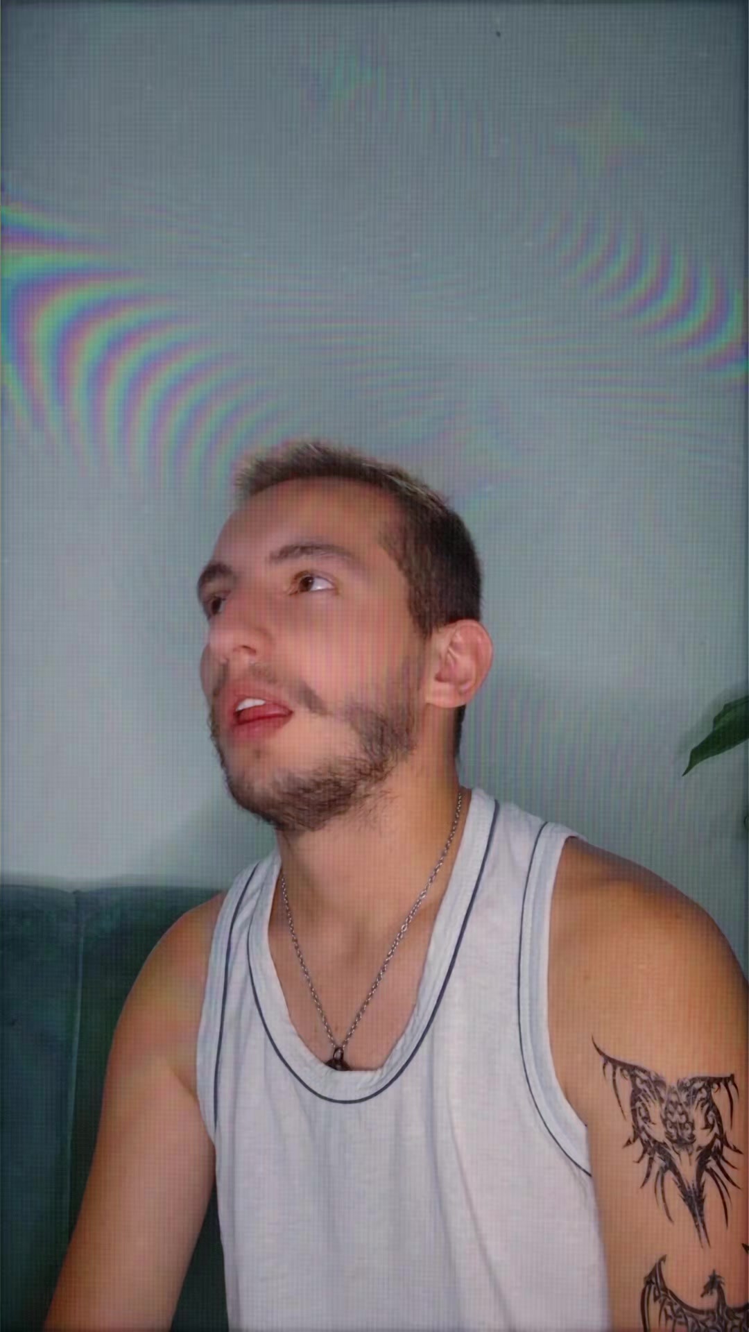 @Mehmed