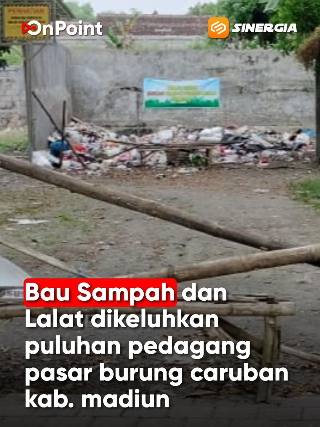 @SINERGIA MEDIATAMA