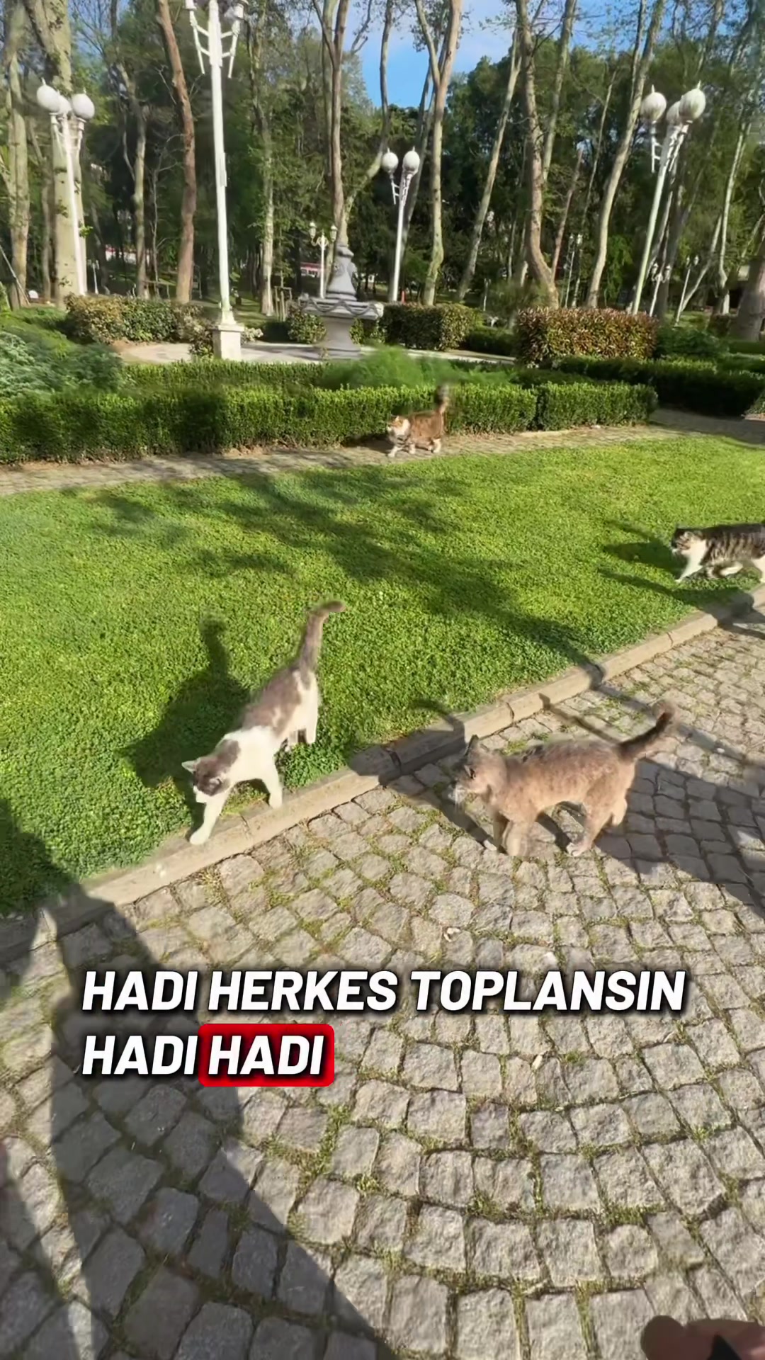 @Salim Kuntoğlu