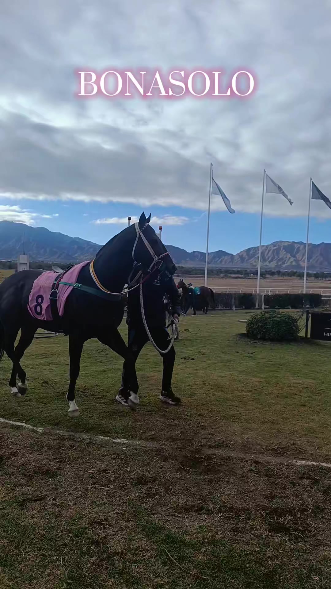 @Sofii Brito🏇🏽