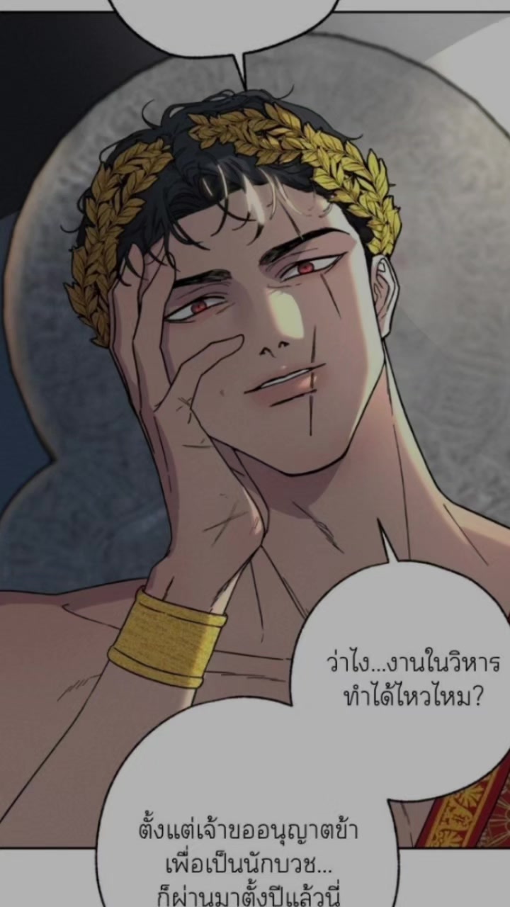 @แมวน้อย