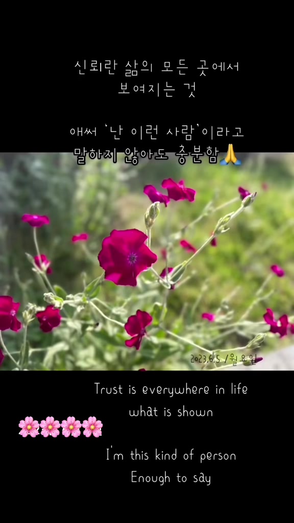 @🪴줄리애쉬