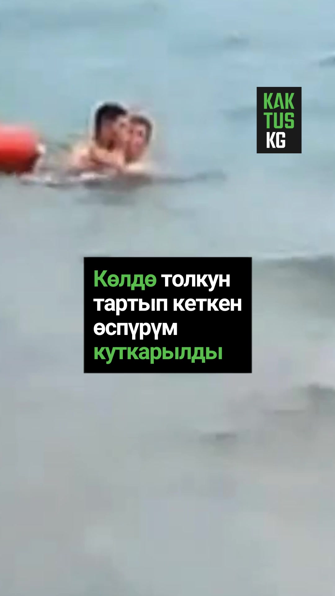@Kaktus KG