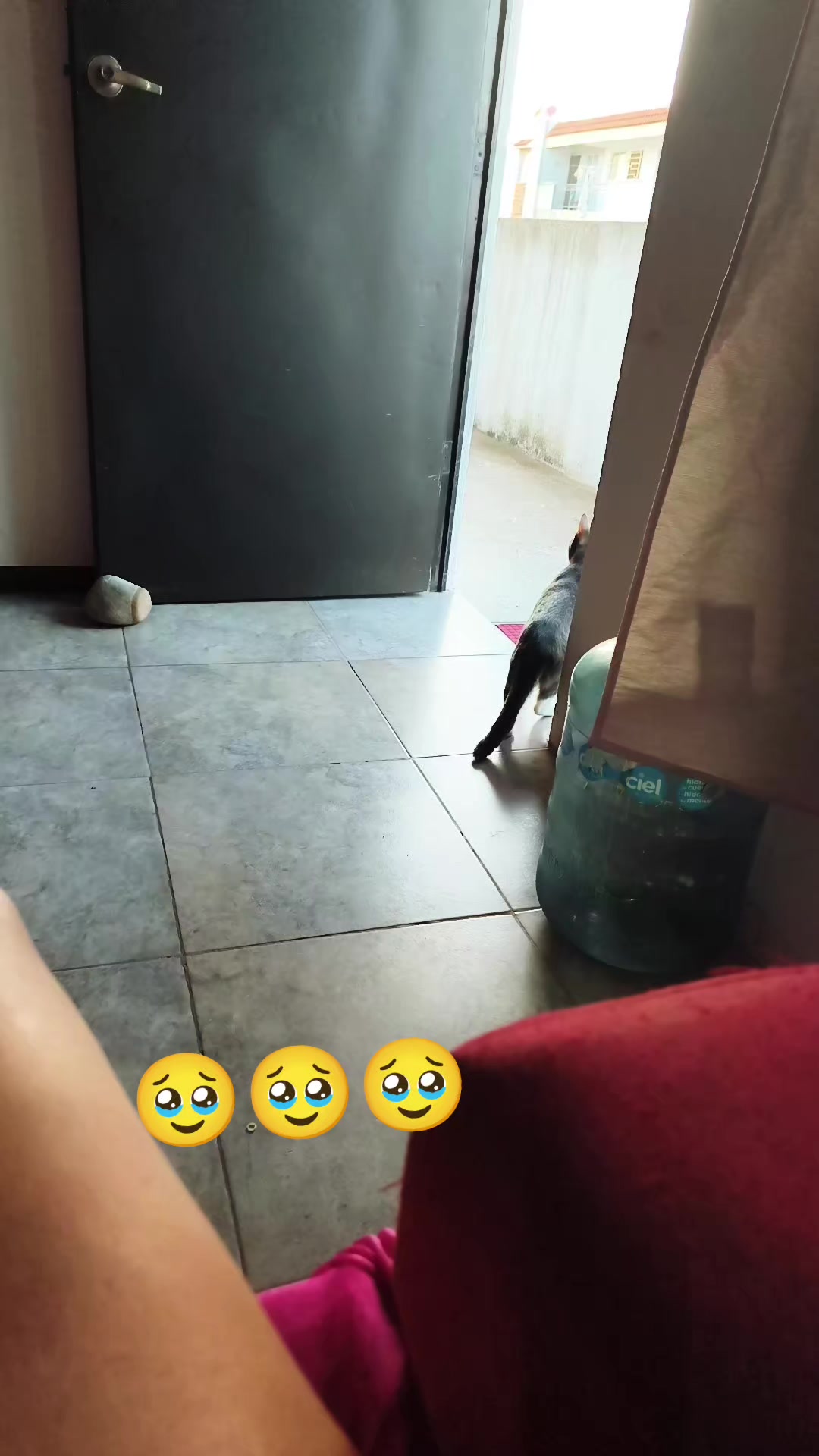 @la nenita