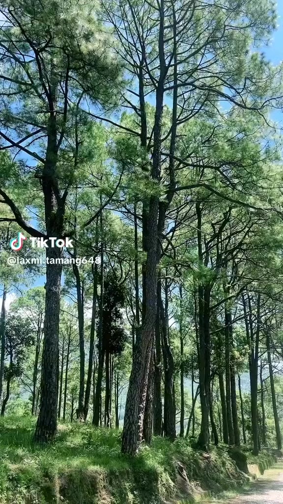 @ganesh tamang