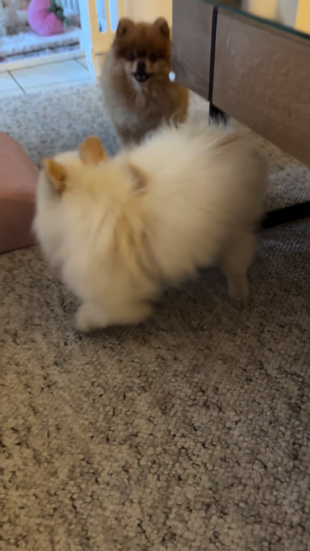 @dieKuschelpuschels🥐 🌸