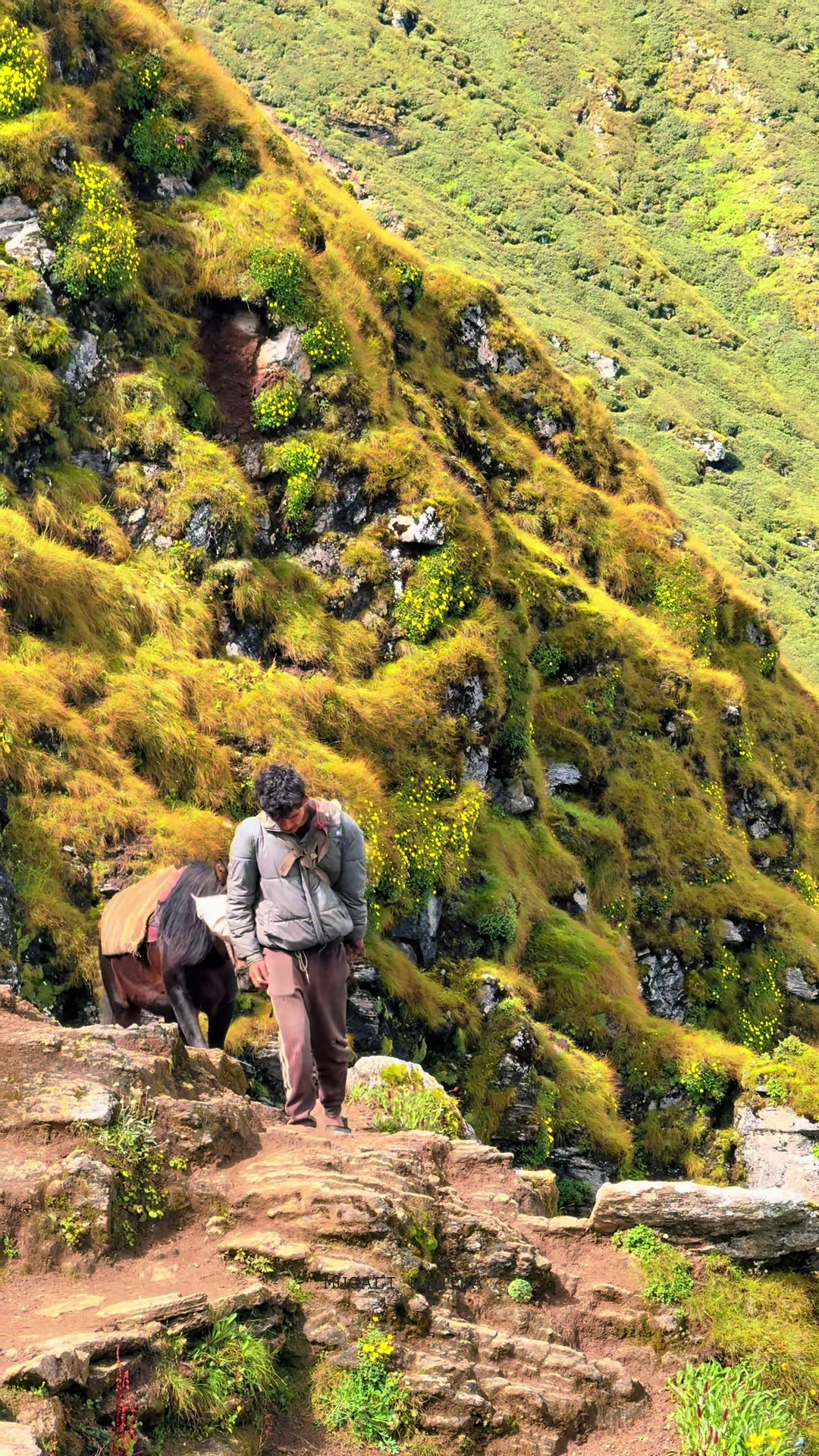 @मुगालि मान्ठ🇳🇵