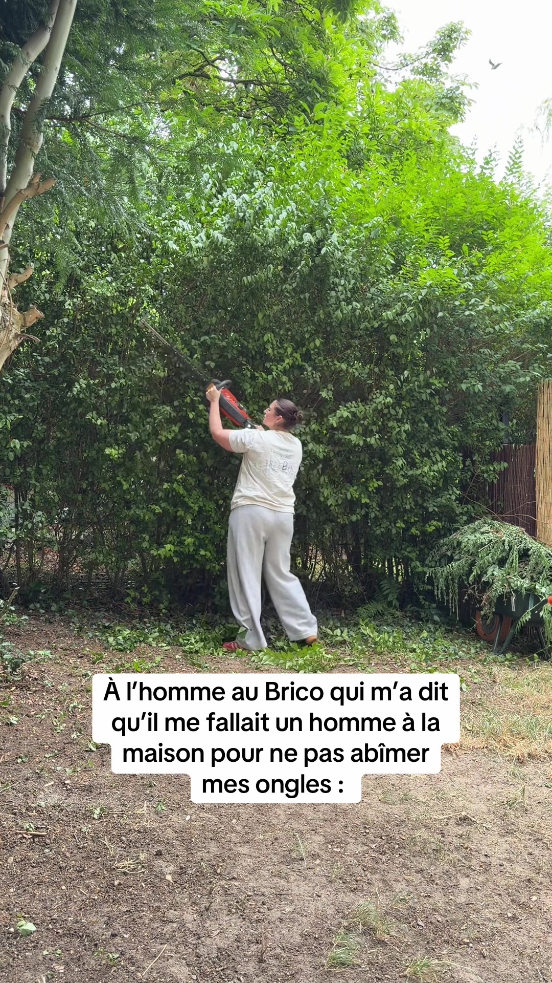 @Elisa 🪩
