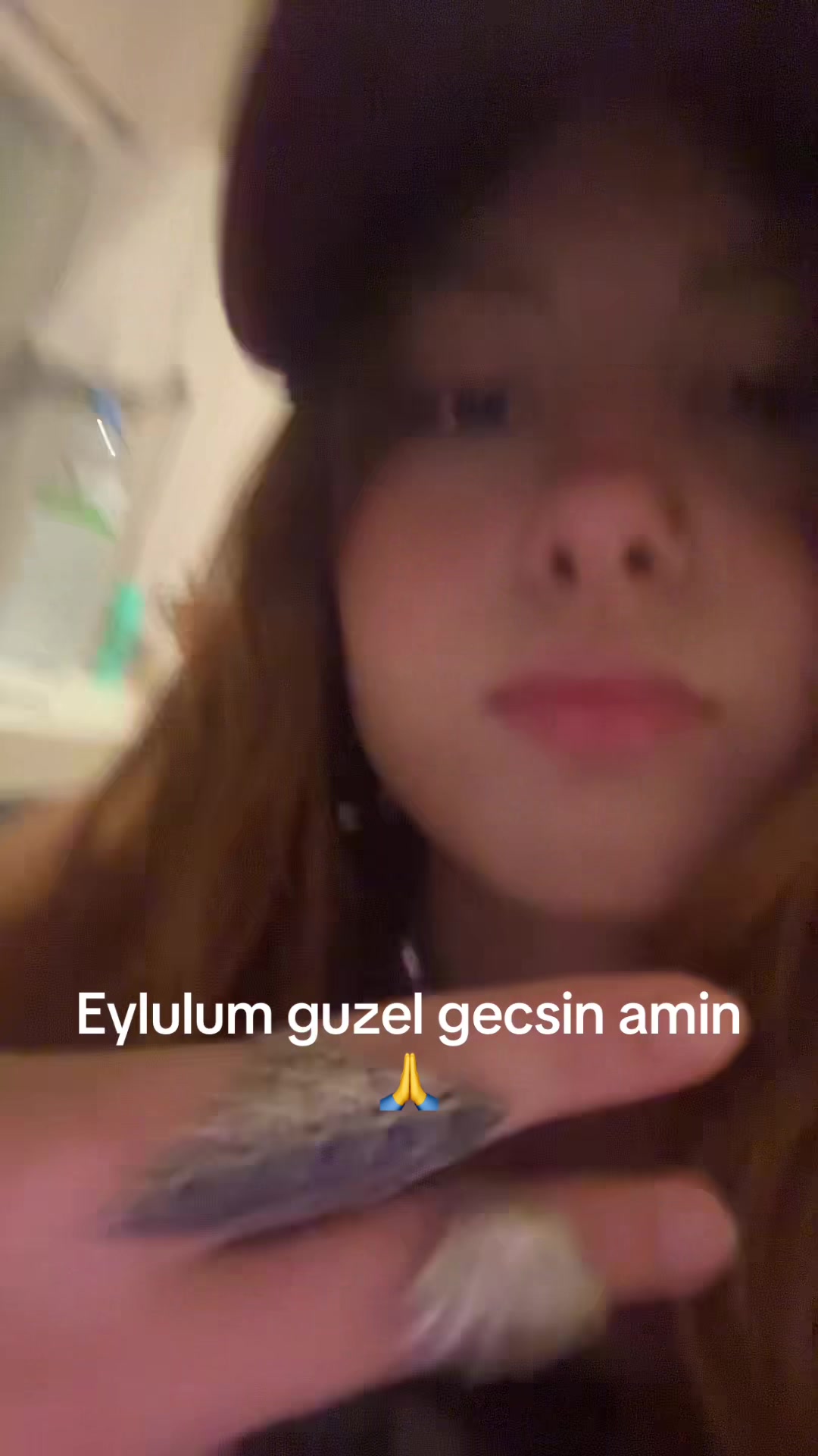 @j4n1ko