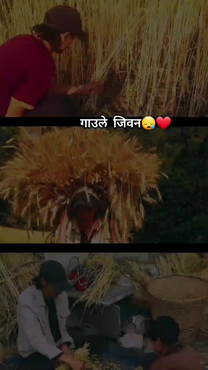 @MR PARAS DHAMI🕉️🙏❤️
