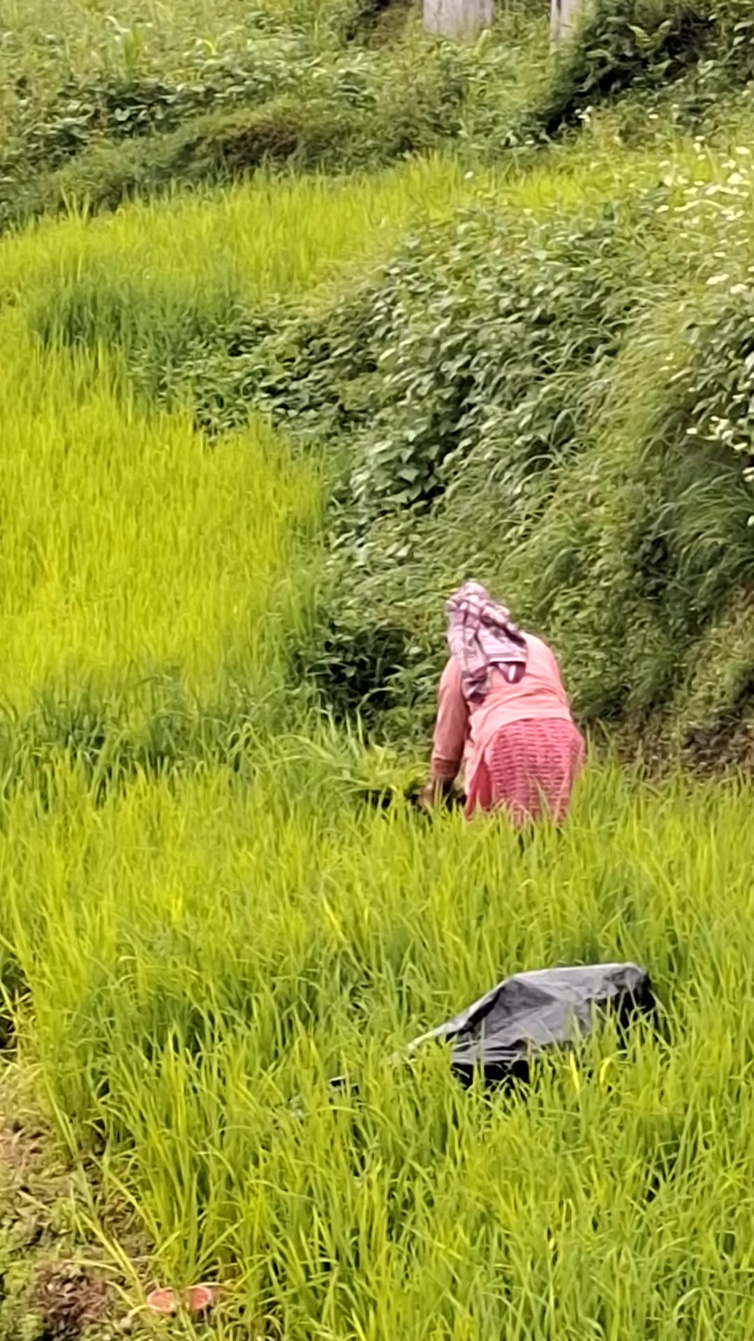 @स्मृति रोकाया"प्रेमाश्रु"💞
