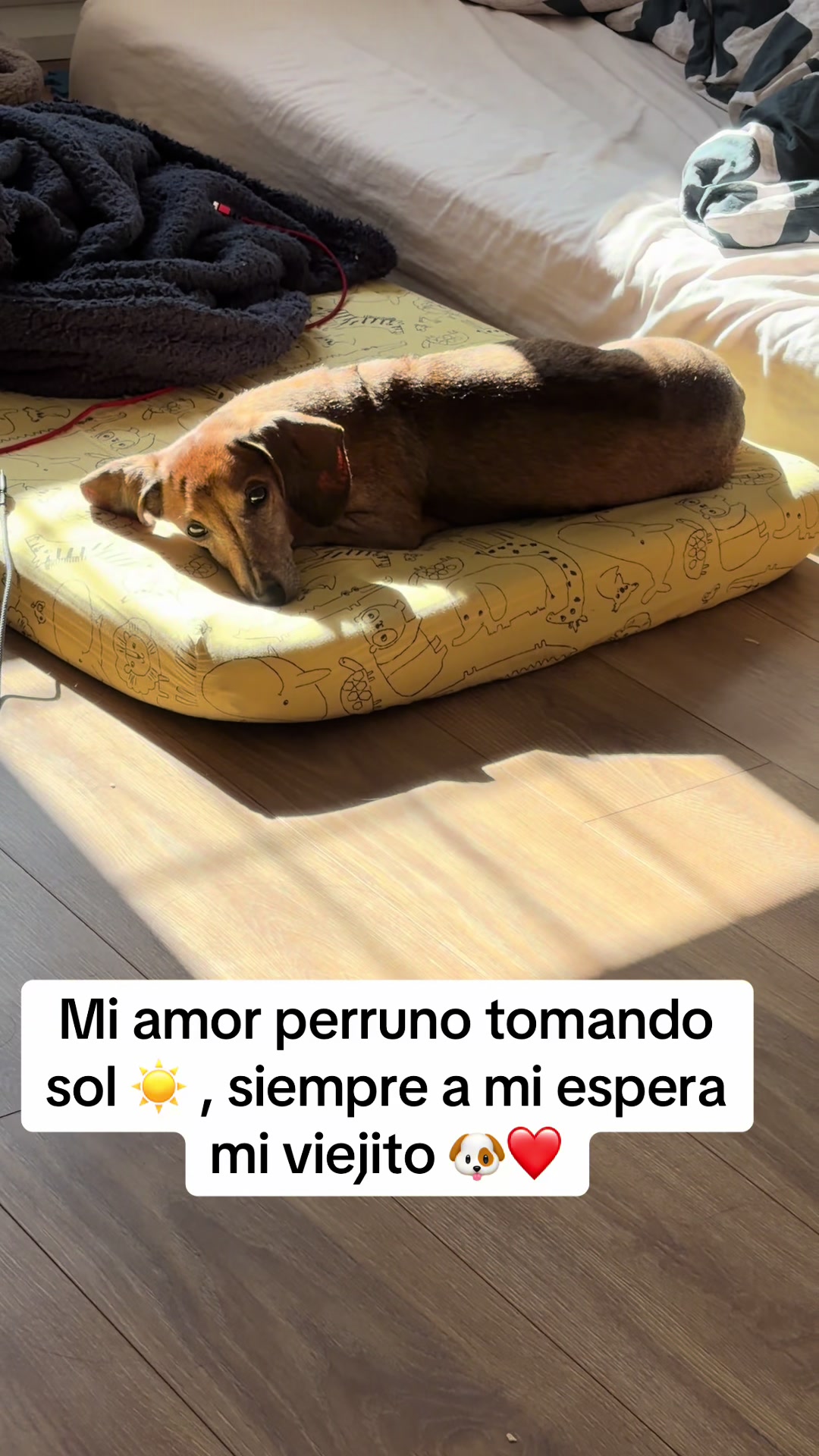 @Chilena Petite