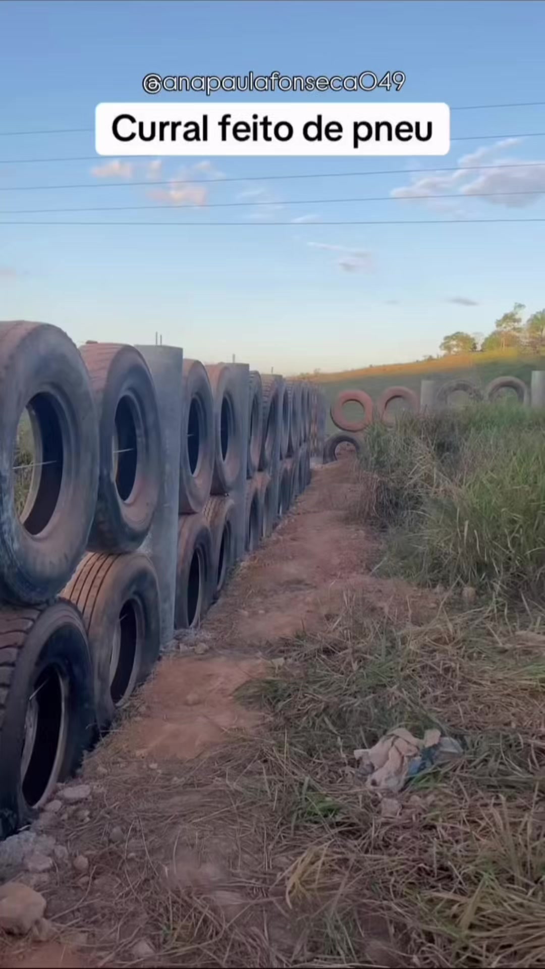 @Canal Vida na Roça