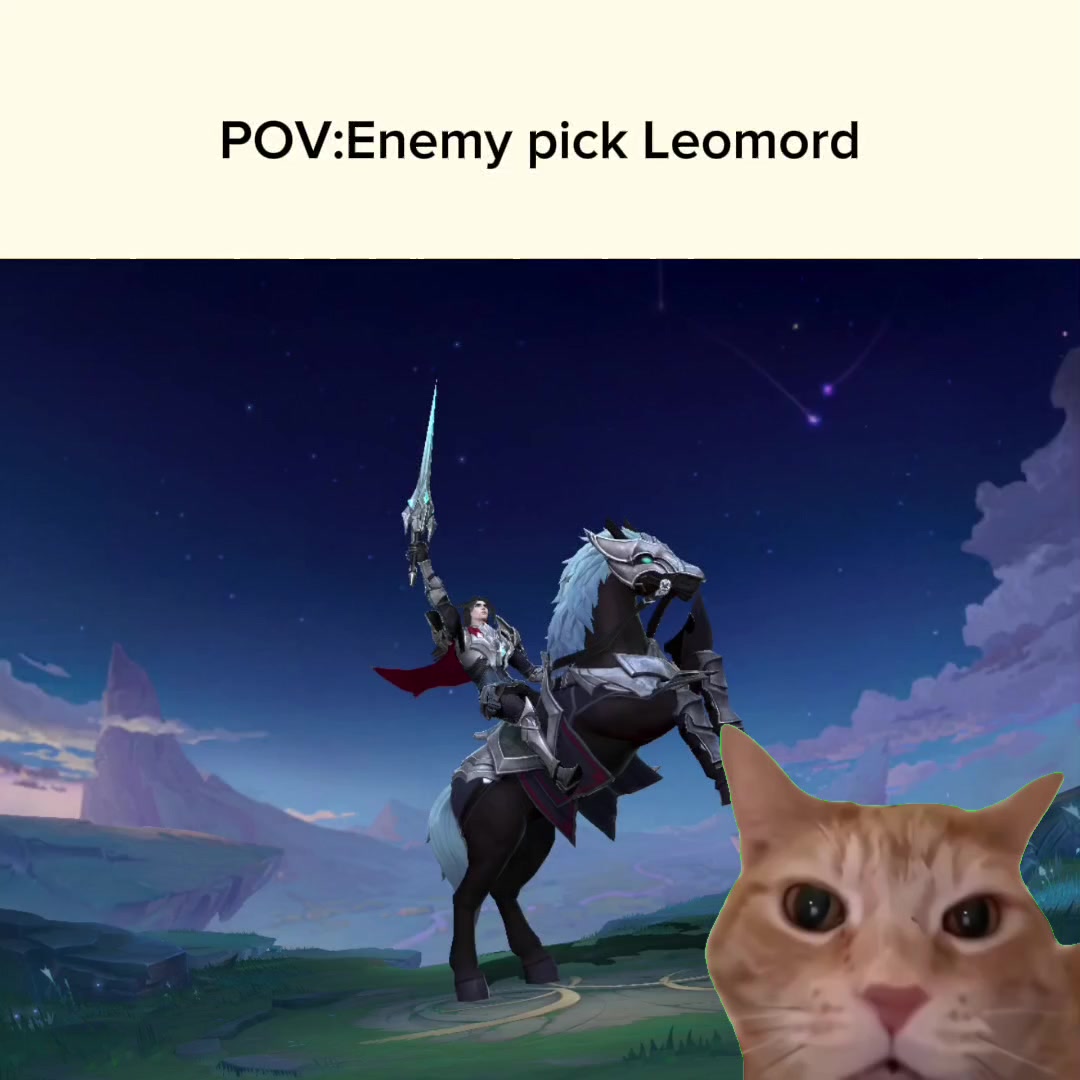 @MLmemes