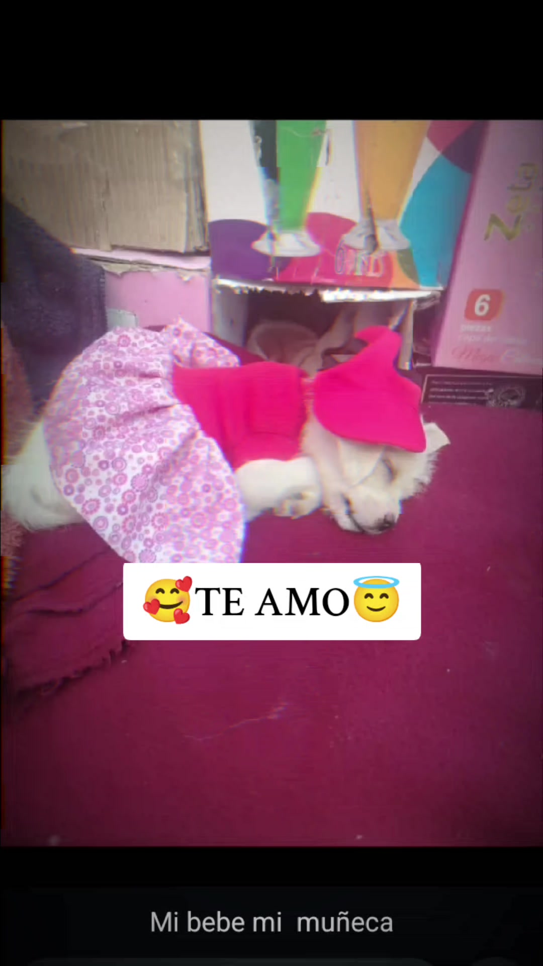 @🏍️🦋TU COPI OFICIAL🔥🏍️