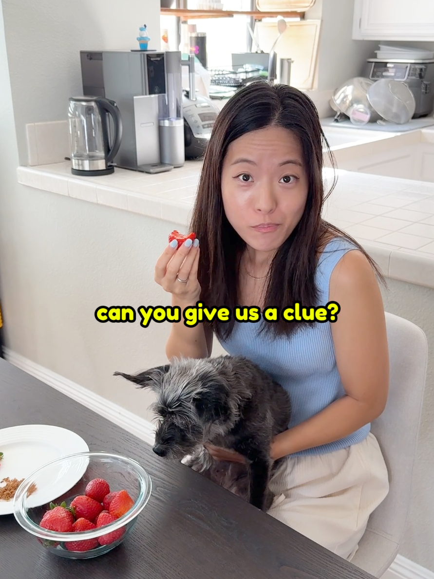 @Jiby Dog Crew
