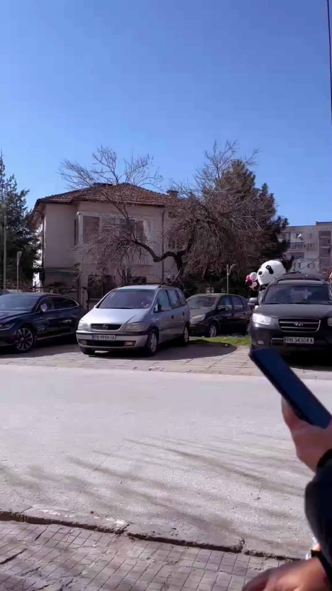 @Димитринка Иванчева