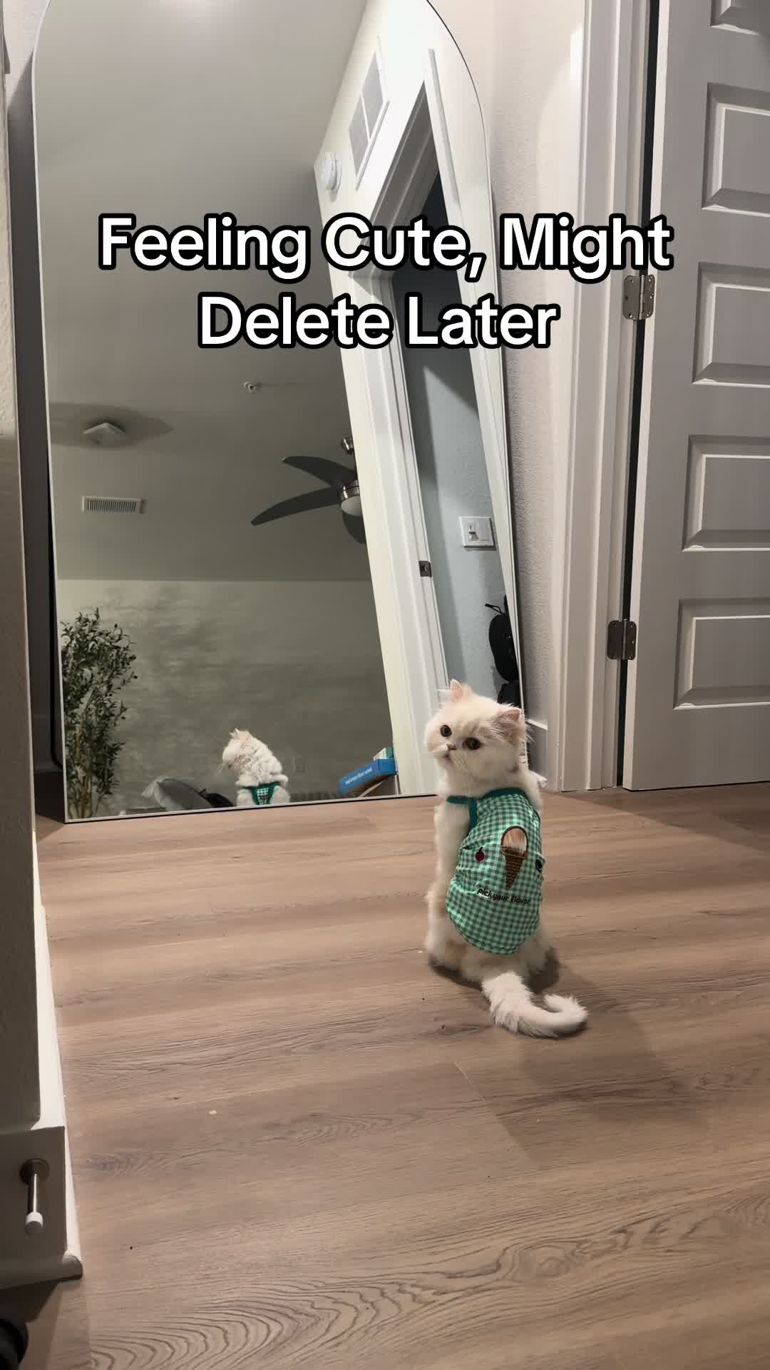 @Poof
