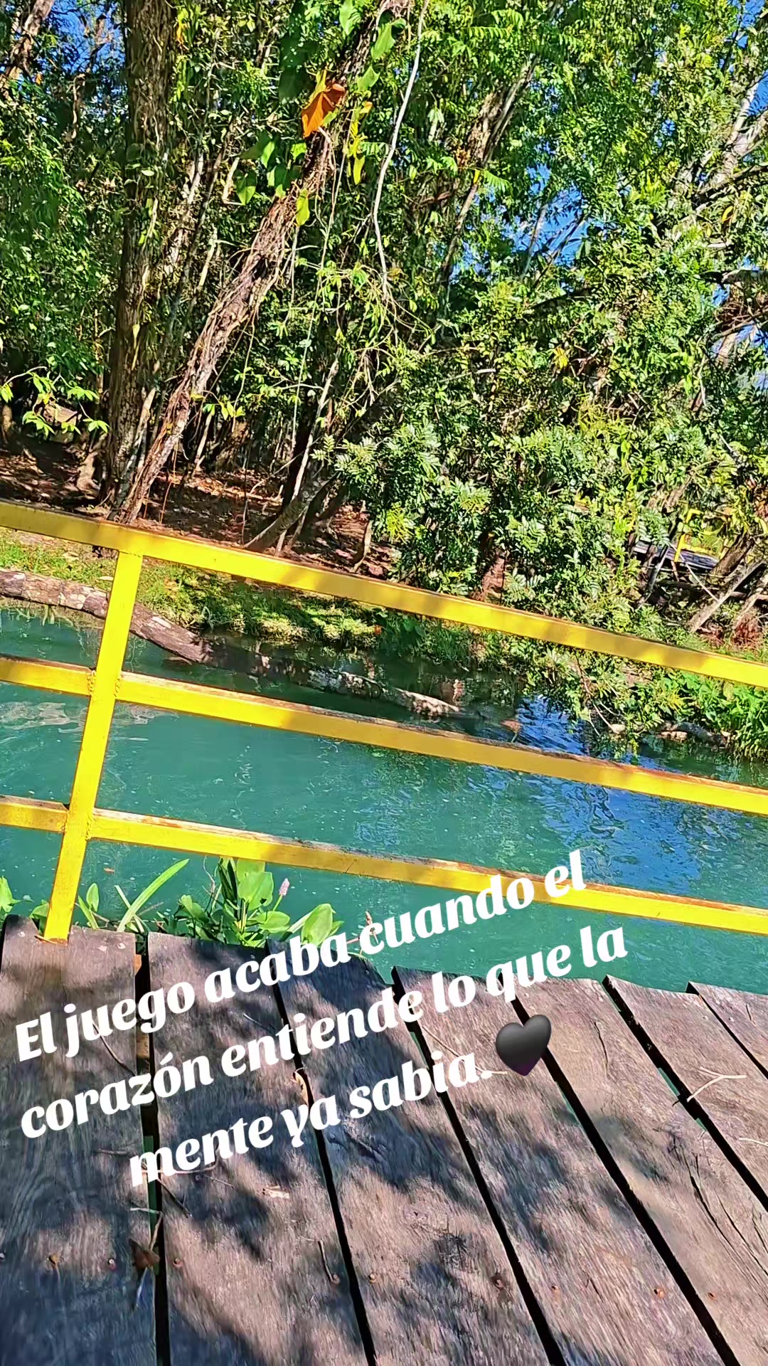 @ISA 👑