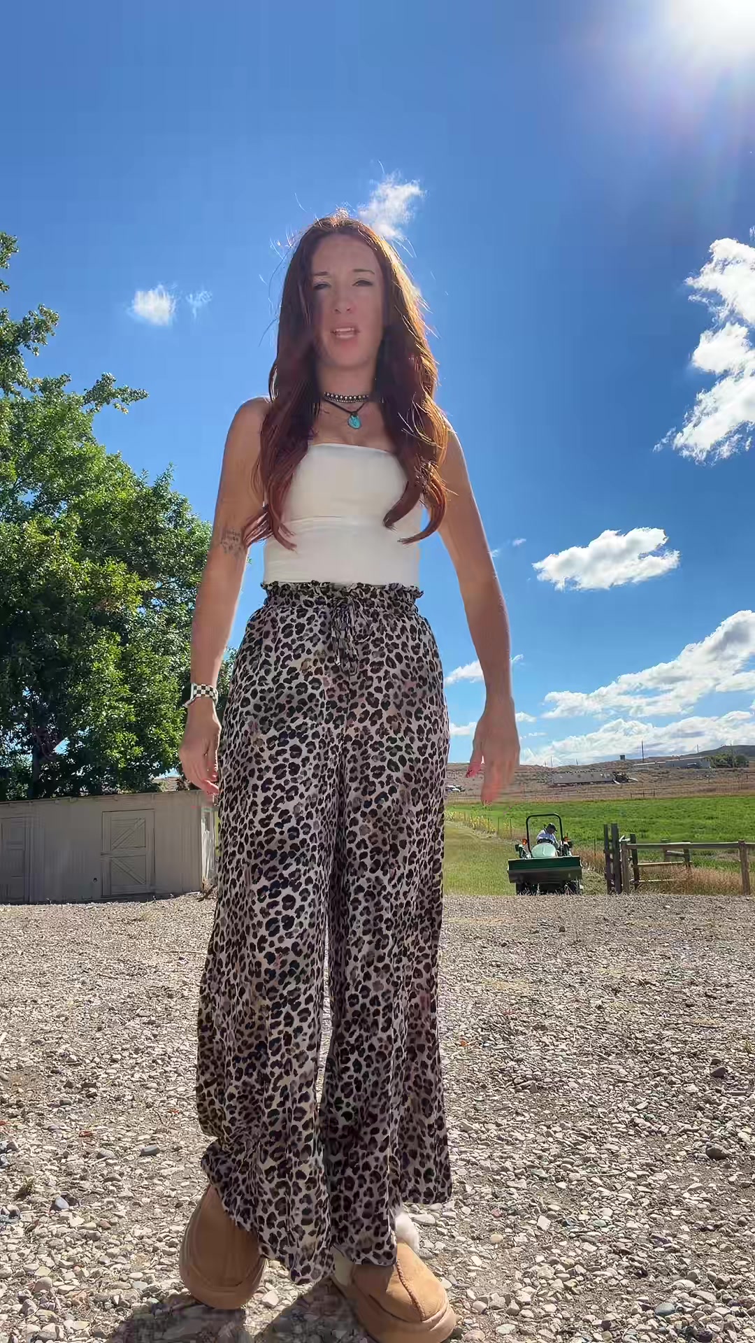 @E-$ 🎱🐆🎲