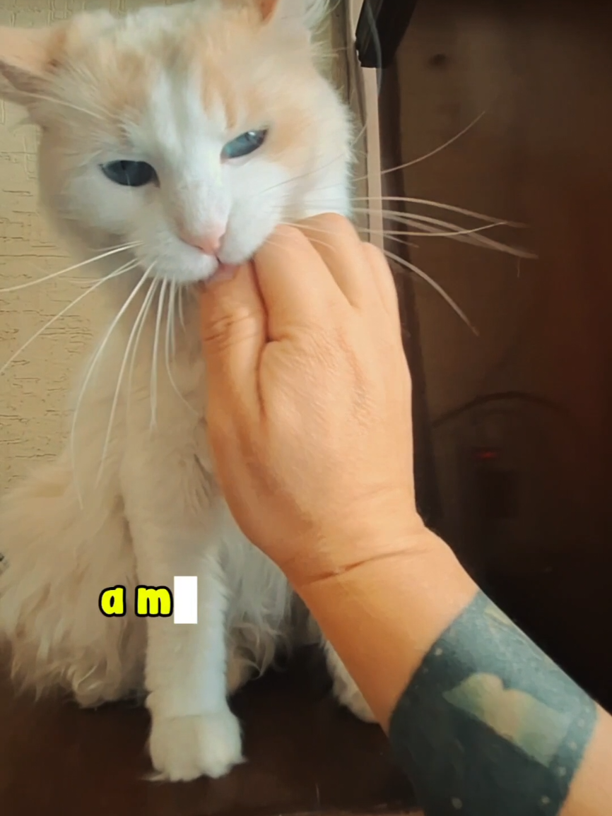@Karen Macho
