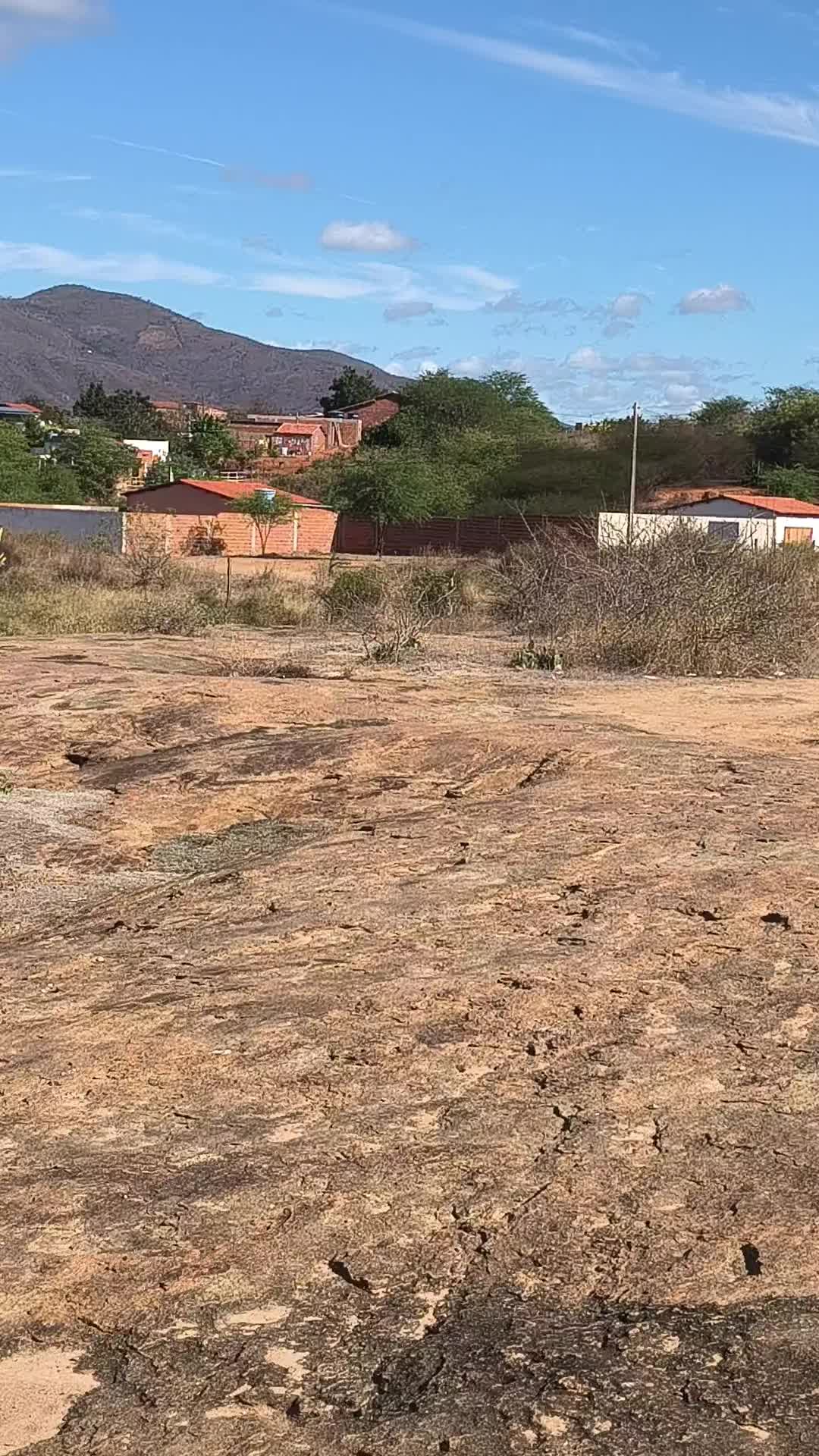 @wilsonpereira