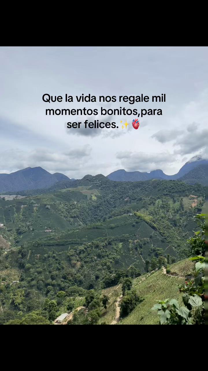 @Lili🩵