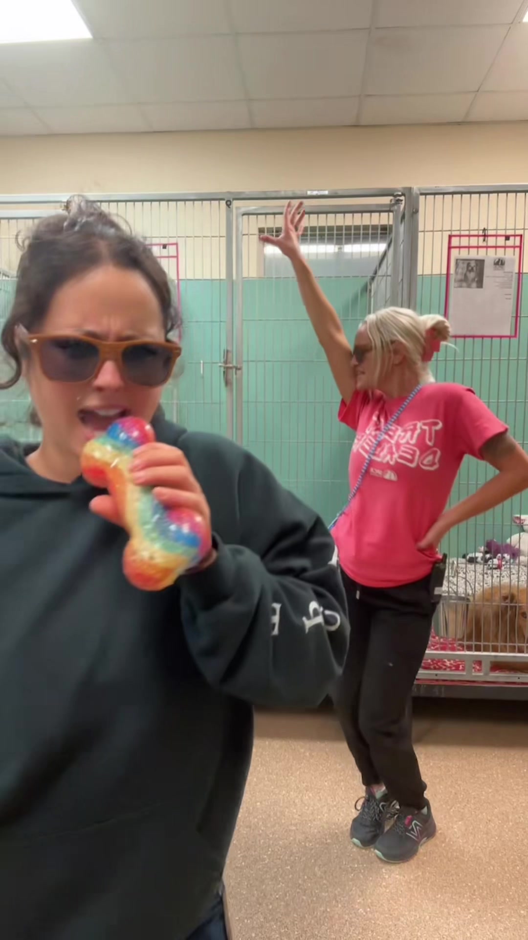 @2vettechs