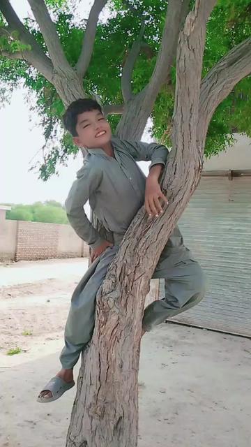 @dilshad Zakhmi