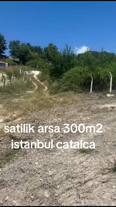 @usta grup