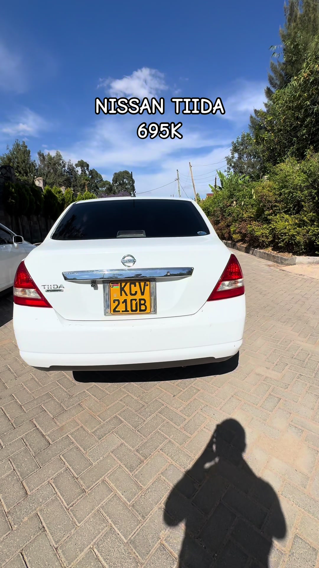 @Hashi Cars
