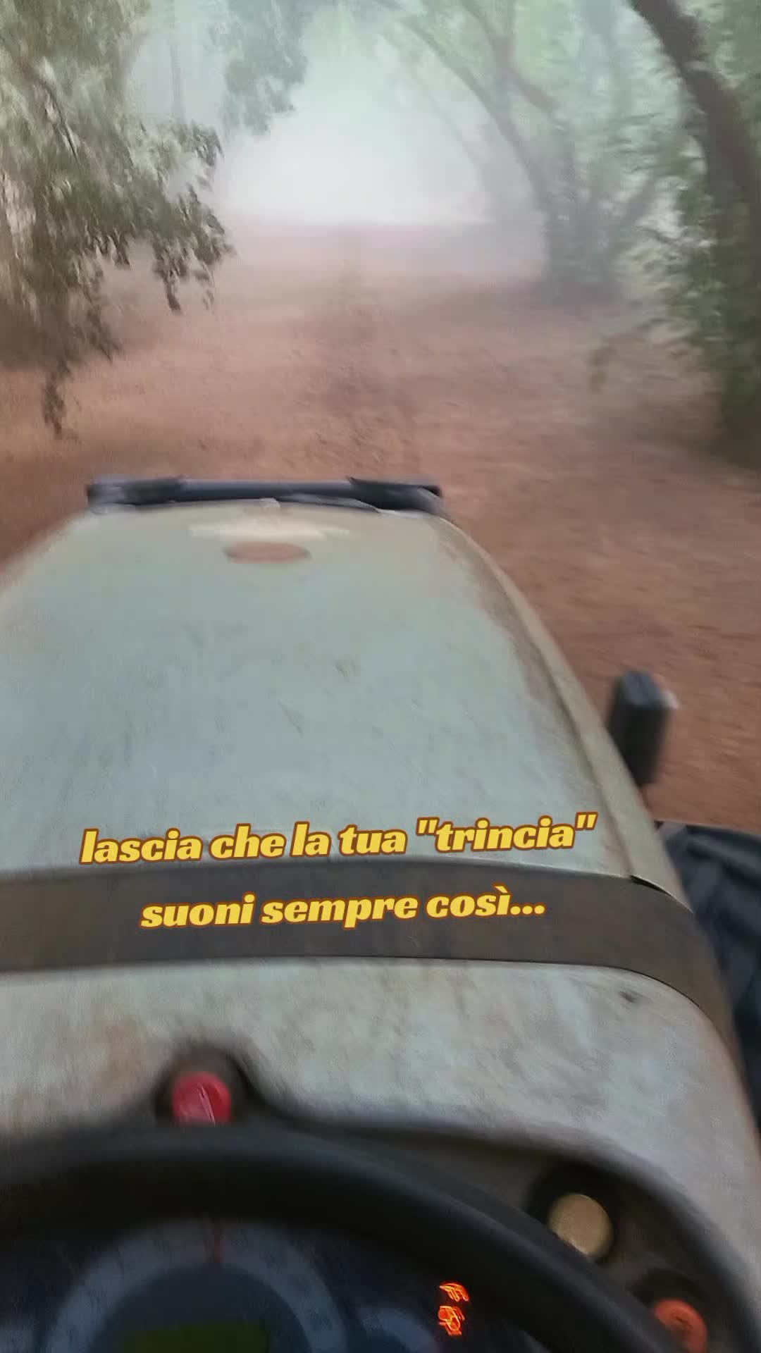@Leonardo Torroni