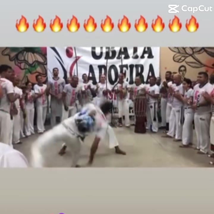 @Graduado FIU🔱🔥