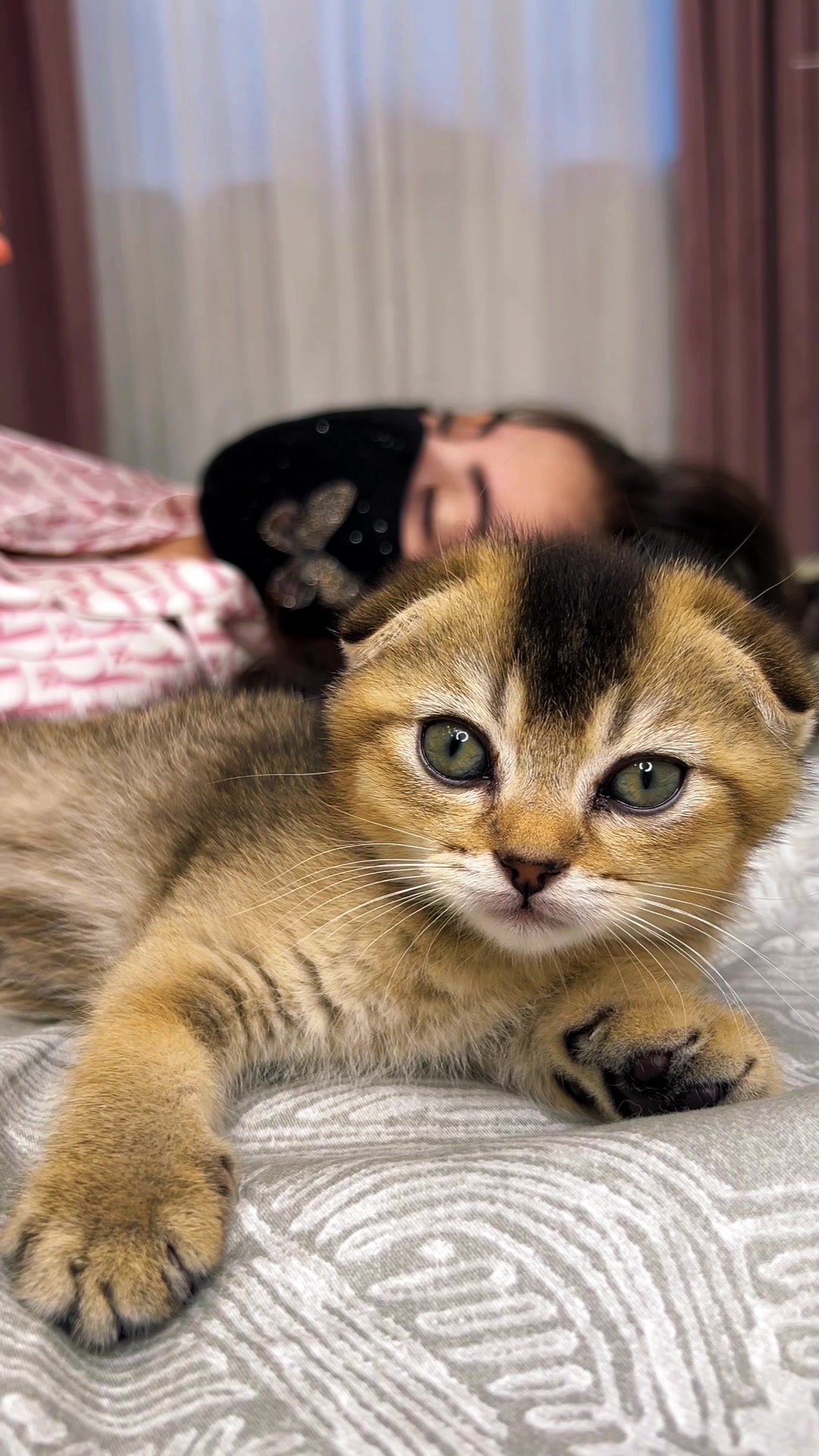 @kittens_uz