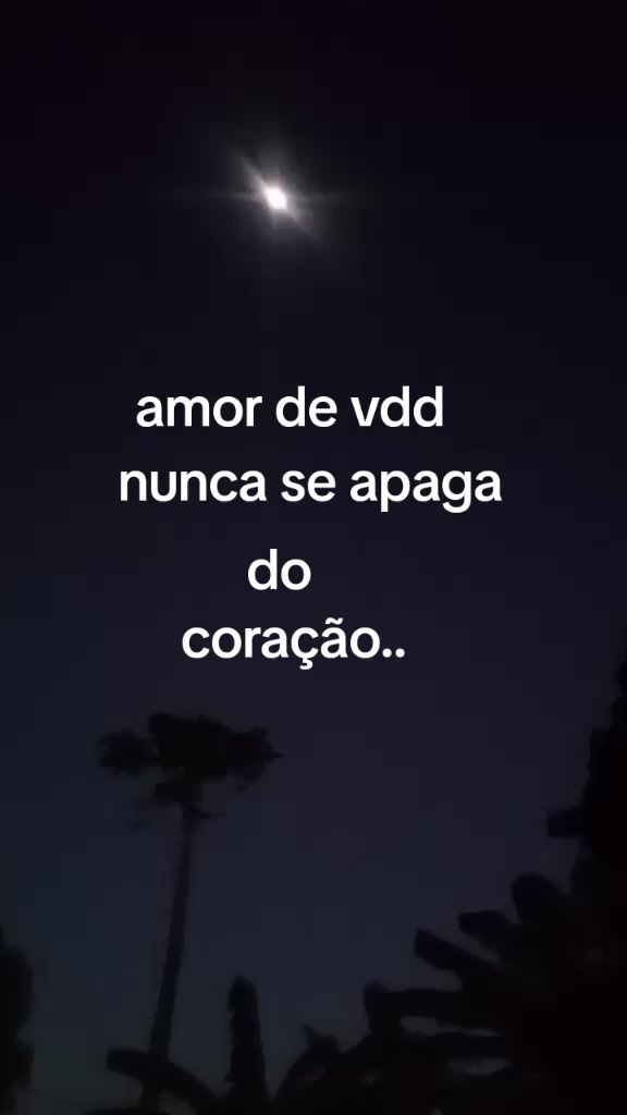 @maurotavares488