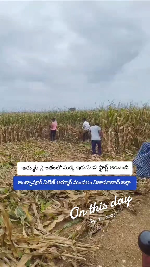 @🚩దళ నాయకుడు✊