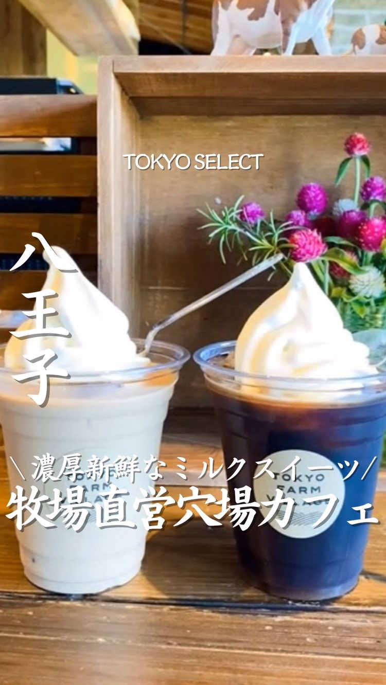 @東京グルメ／TOKYO SELECT