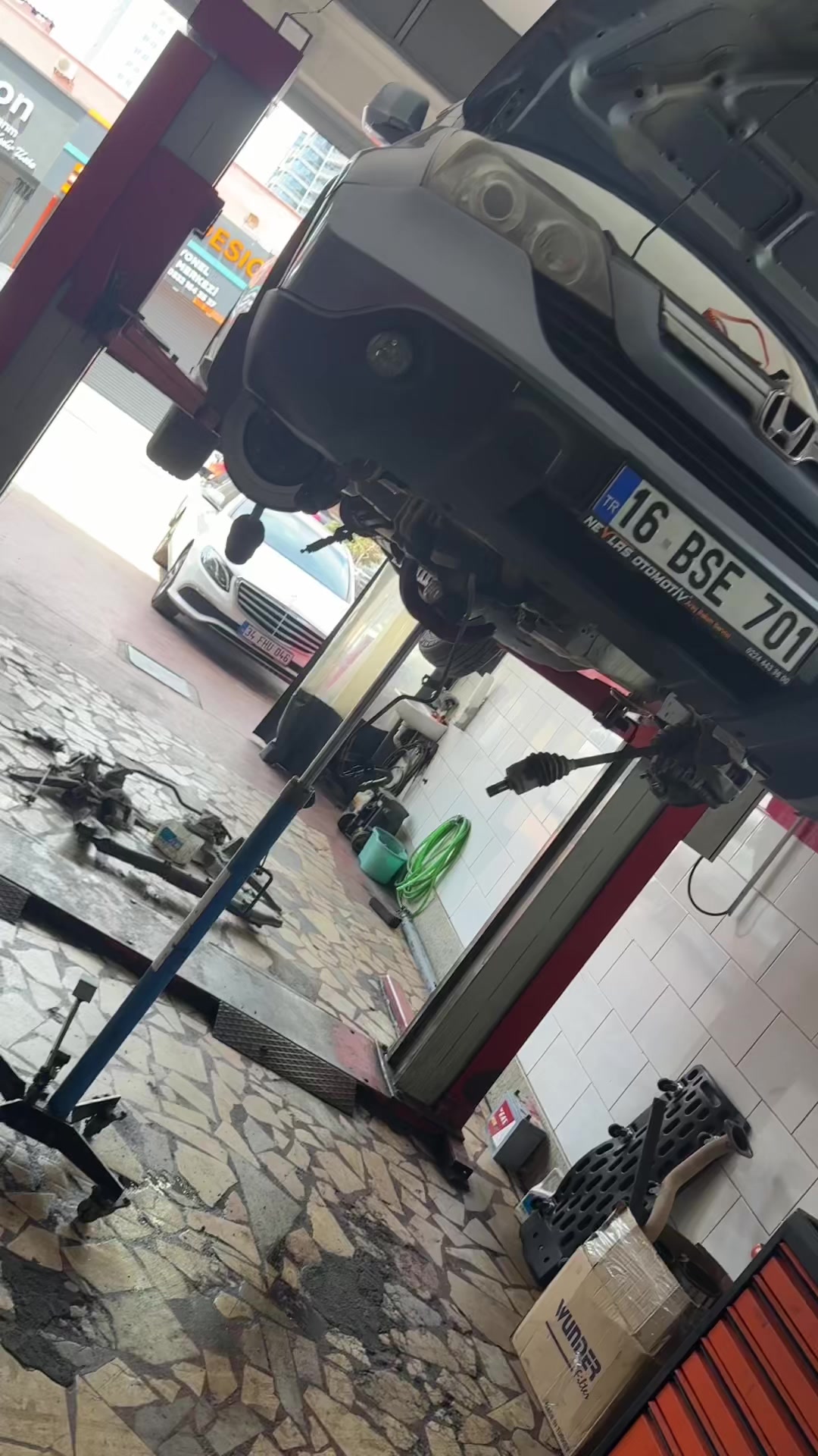 @&Ccedil;ağlayan Alg&uuml;l